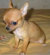 ��������������ô�죿