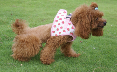 ������ʲô���̣�