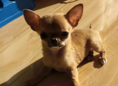 ���ﹷ��·������ô��