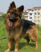 ����ȱ����ô����ͼ��