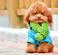 ̩��������ô��