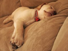 ����ȱ����ô��