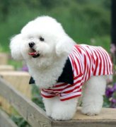 ���ܺ�������ô�죨ͼ��