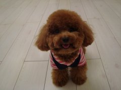 �����＾��ë��ô�죿��ͼ��