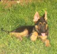 ����ʲôʱ����Ҫ���ƣ�