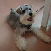 ����������ô���أ���ͼ��