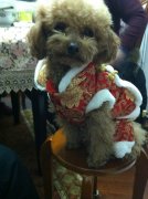 ̩��������ô��