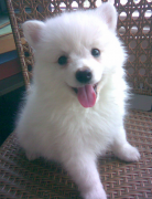 ��ĦҮ��ʲô���ÿ�