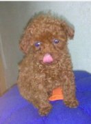 1����̩�ϳ��̷���(ͼ)