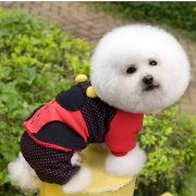 ������θ��������Щ֢״����ô�Σ���ͼ��