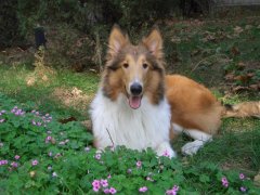 ����Ӫ��������ô�죿