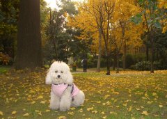 ̩�Ϻ�ʲô�̷ۺã�