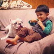 ��ʿ�����Ȯ��ð��ʲô������ͼ��