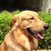 ����������ϡ��ô�죨ͼ��