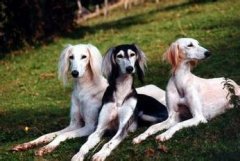 ��·����Ȯ��ð��ô���ƣ�ͼ��