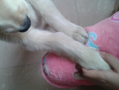 ��ô������������