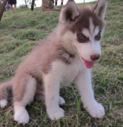 ������������ôιҩ?(ͼ)