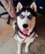 ����ʳ��������ô���أ�ͼ��