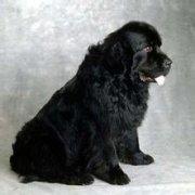 Ŧ����Ȯ��ð��ô�Σ�����ͼ��