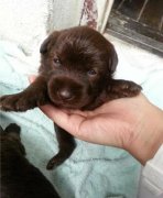 1�´��̩�ϳ�ʲô��ͼ��