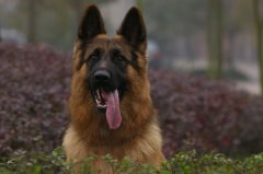 ������������Ȯ���̣�