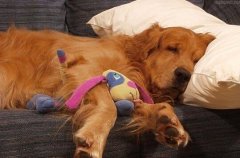 ���������ʲô��