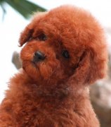 С̩��̫������ô����ͼ��