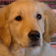 �������к�ϲ����ʲô��ͼ��