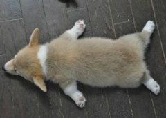 ��������������ô�죿����ͼ��