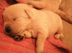 4������Ȯ��ʲô��