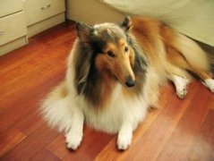 ������ʳ��ô�죿����ͼ��