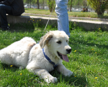 �������Թ�����ʲô��