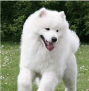 ��ĦҮ��ȮӪ��������ô����