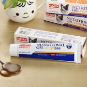 ����˹�ӳ�ʲô���ÿ�