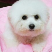 2�����µı��ܳԶ��٣�ͼ��