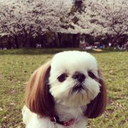 ����ȱ����ô���ƣ�