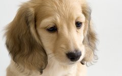 �����е�������