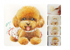 ̩�Ϲ�Ż����ô��