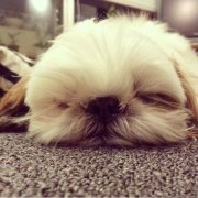 �����µıȸ��ʲô