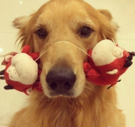 ��ʿ����ˮ����ô��