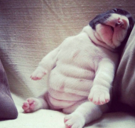 ̩�ϲ��Բ���