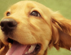 ����Ȯ����Ըɹ���