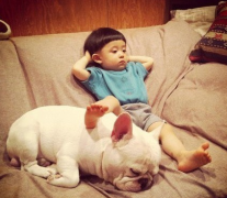 С����վ�������ȳ��