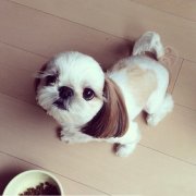 ������ʲôëɫ��