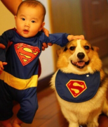 ��ëǰ����Ʋ