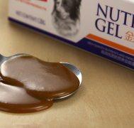 �����´�̩�Ϻ���վ����