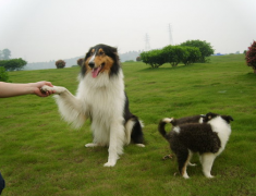 ���칷����ë��ô��