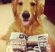 ����Ż�¿��ԳԹȵ�Ȯ�����־���