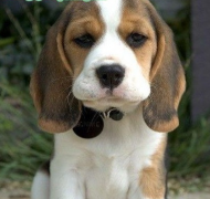 ��������������ô����