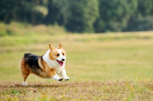 �����ؽ����������˶�����·��